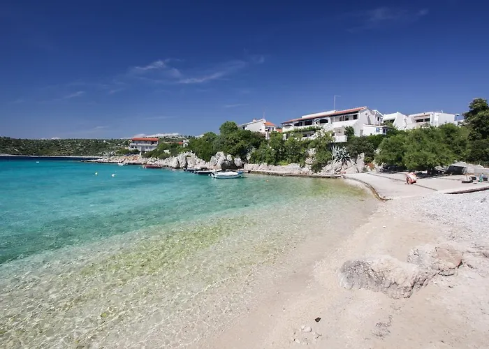 Bosiljka * 세비드